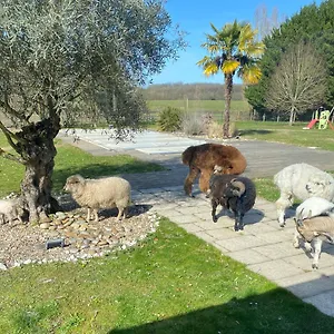 Le Truc Bidule Guest house